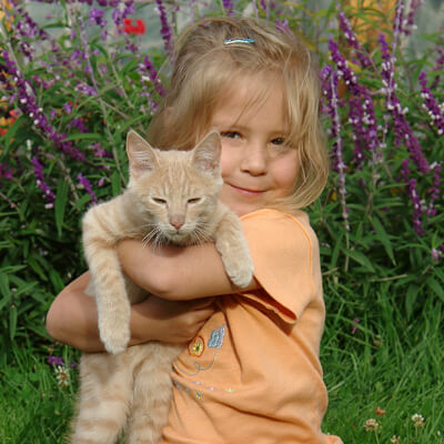 Picture of girl holding orange kitten