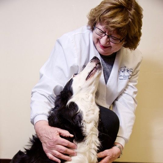 Dr. Judy Mason