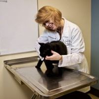 Dr. Gretchen McDaniel
