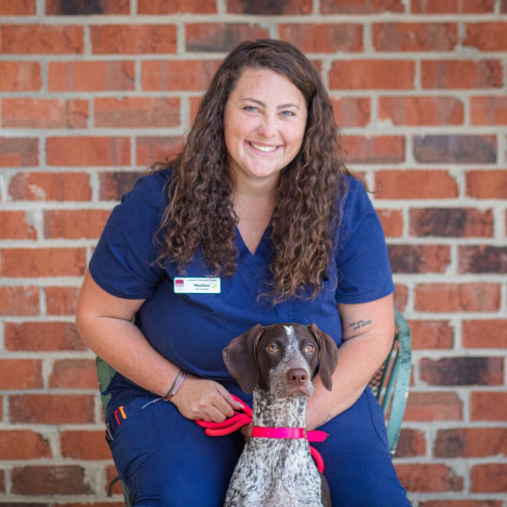 Madison, Lead Receptionist