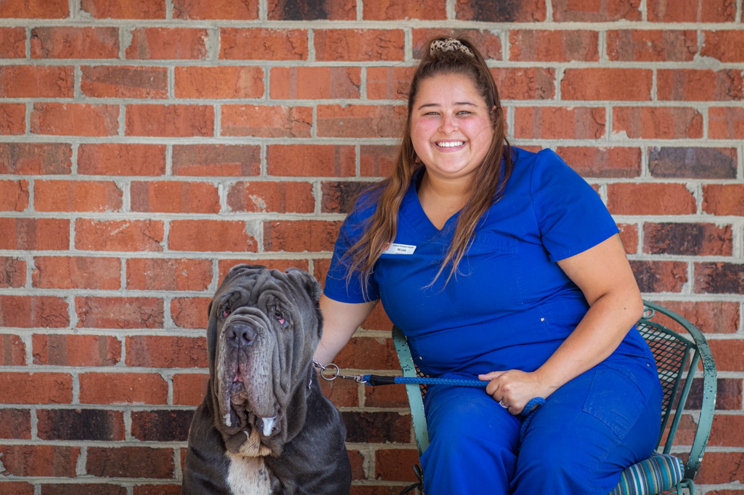 Megan, Veterinary Assistant Megan, Veterinary Assistant